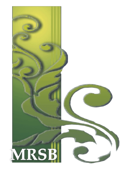 Cloud seeding planned in Kota Tinggi to ease Lok Heng water shortage — gallery image 1