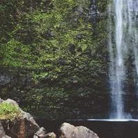Community Garden Initiative Launch